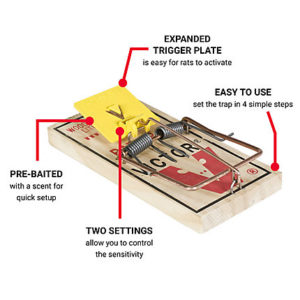 Easy Set Rat Trap