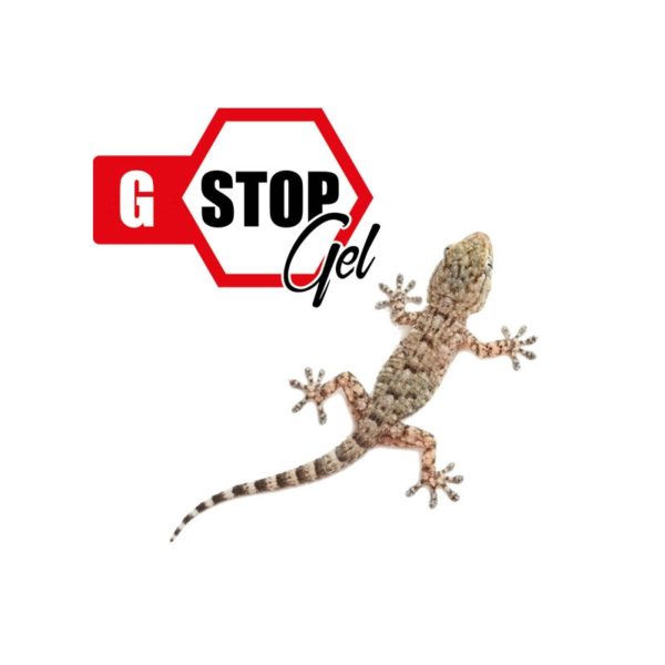 G-STOP GEL disabtuante gechi 1 litro