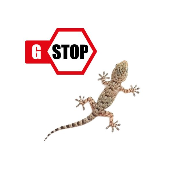 G-STOP SPRAY disabituante gechi 1 litro