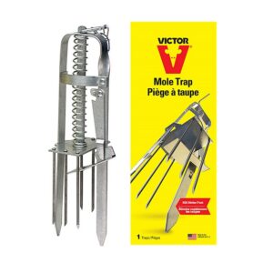 Victor_Mole_Trap