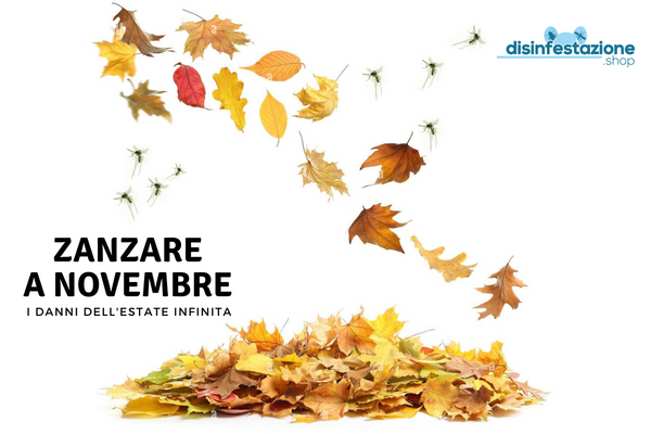 estate novembre zanzare